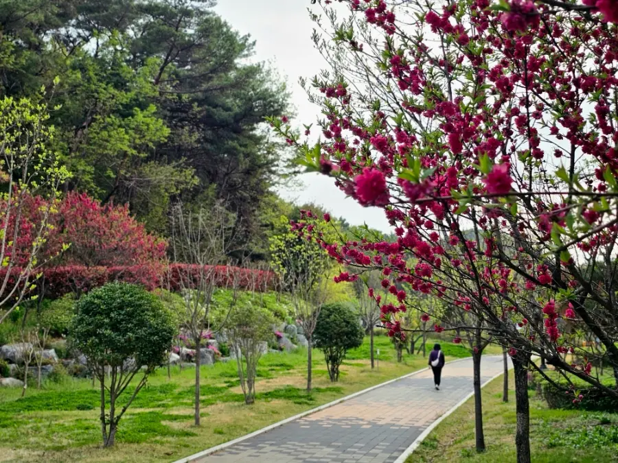 진주 월아산 등산