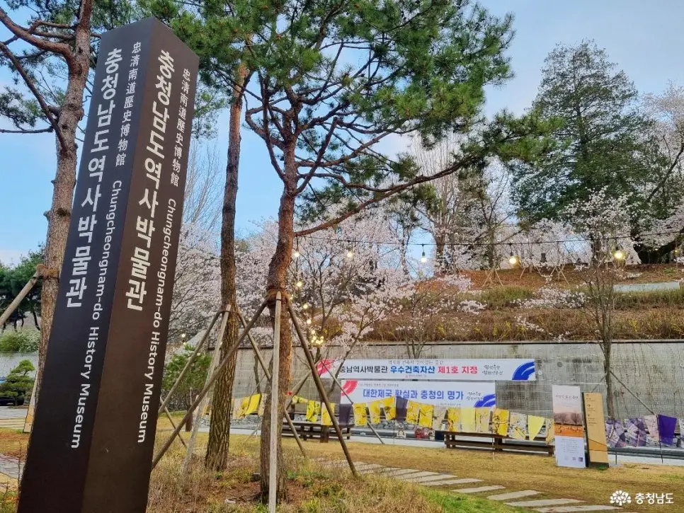 충남 공주 벚꽃 명소