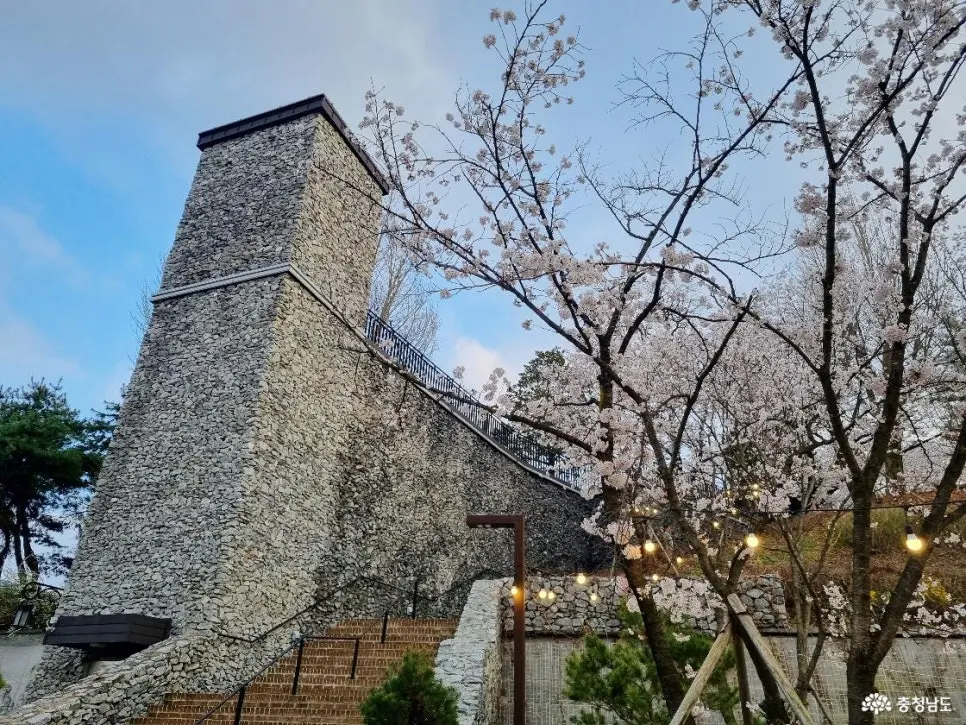 충남 공주 벚꽃 명소