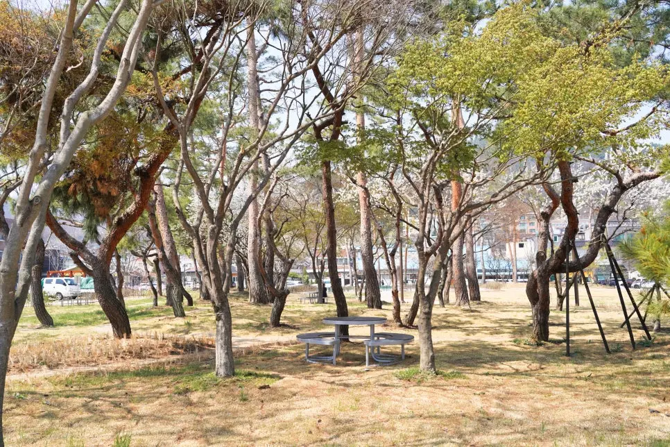 충남 공주 여행