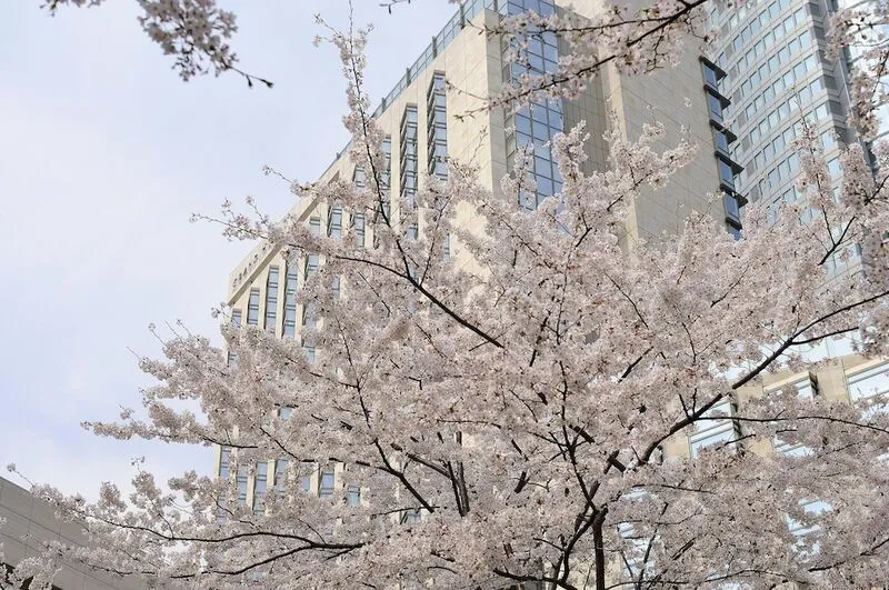 그랜드 하얏트 도쿄