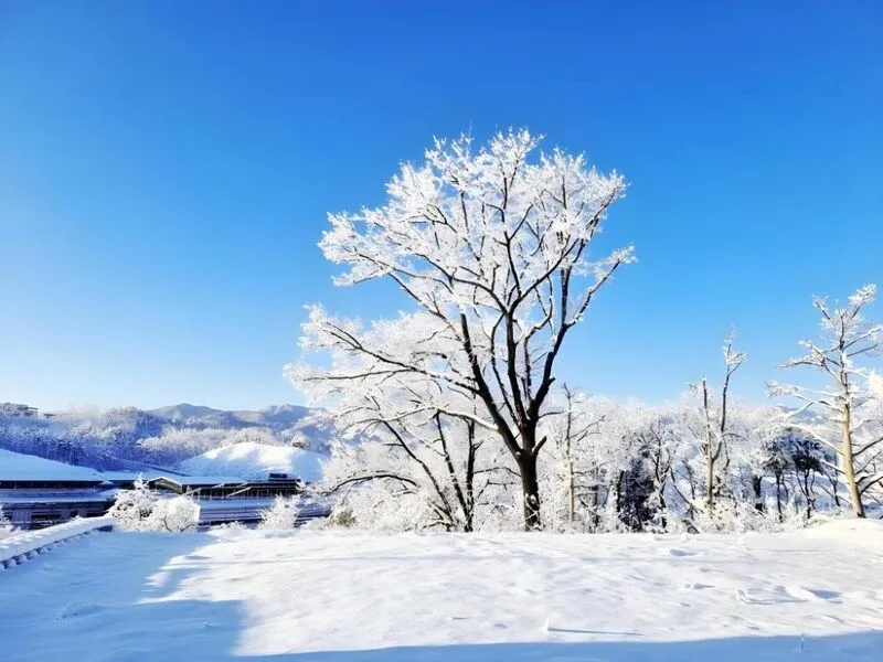 속초울산바위민박