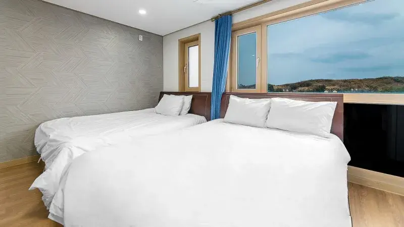 제주 성산 백록 키즈 펜션