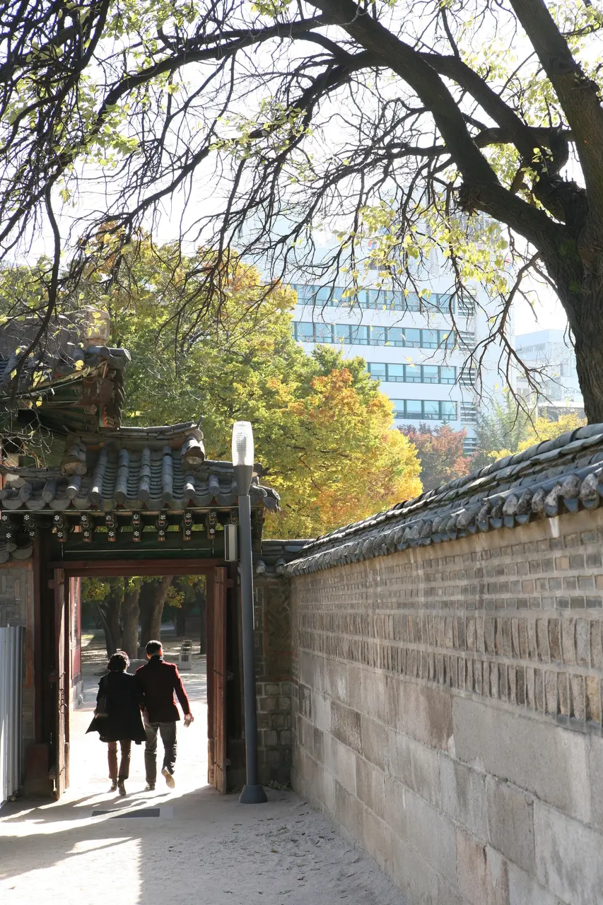 덕수궁 가을