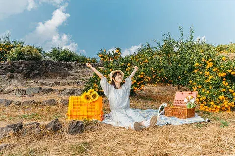 [제주스냅] 가족 커플 만삭 우정 촬영(인원 추가금 없음)