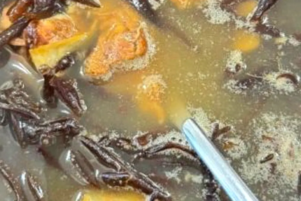 동네한바퀴 뜸북국 진도 소갈비뜸북국 맛집 정보 3