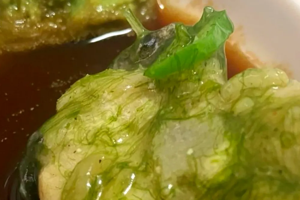 허영만 백반기행 보성밥상 매생이아구찜 식당 정보 윤태호 5