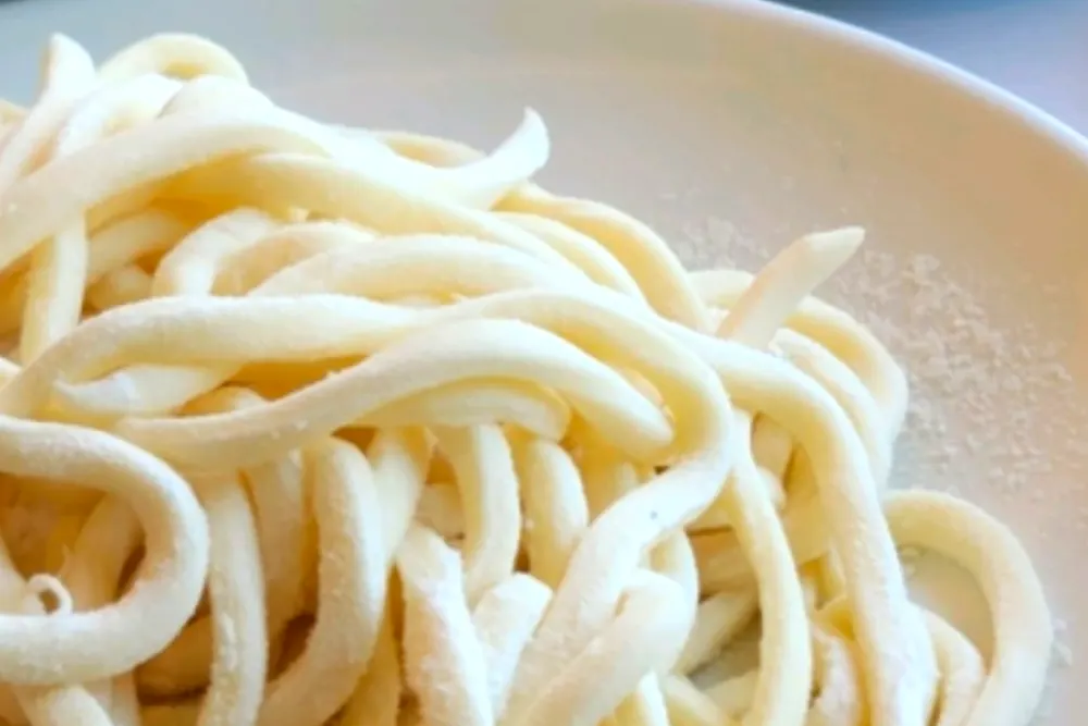 오늘N 해물칼국수 강릉 식당 옆집부자의 비밀노트 3