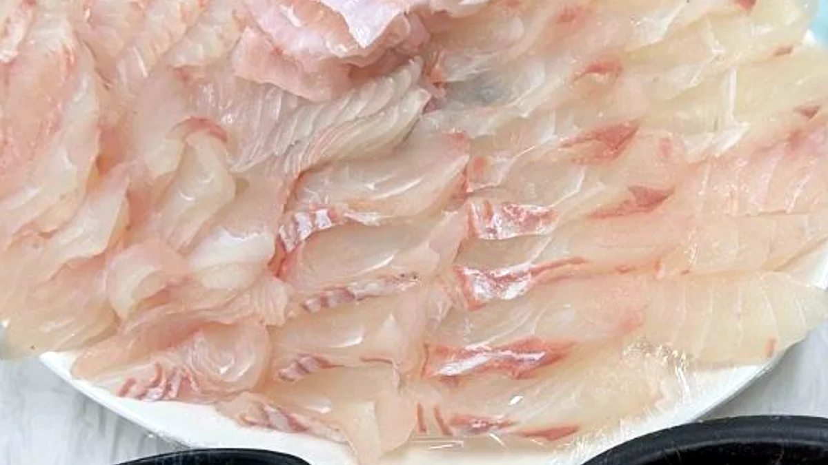 군침 도는 제철 활어"... 충남 서천 마량포구, 6시내고향 광어 도미 맛집