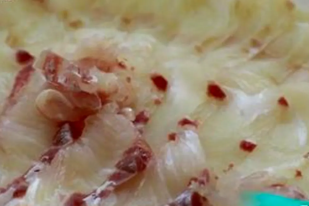 6시내고향 서천 광어 도미 요리 마량포구 식당 위치 정보 4