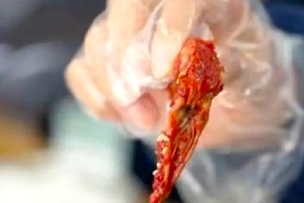 전현무계획3 삼척 새우무침 보리새우 맛집 식당 위치 바다내음 2