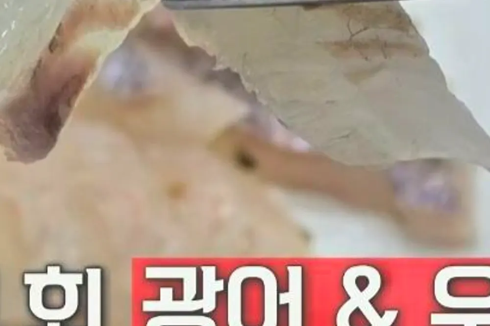 프리한19 익산 회정식 ㅅ식당 횟집 택시기사맛집 3
