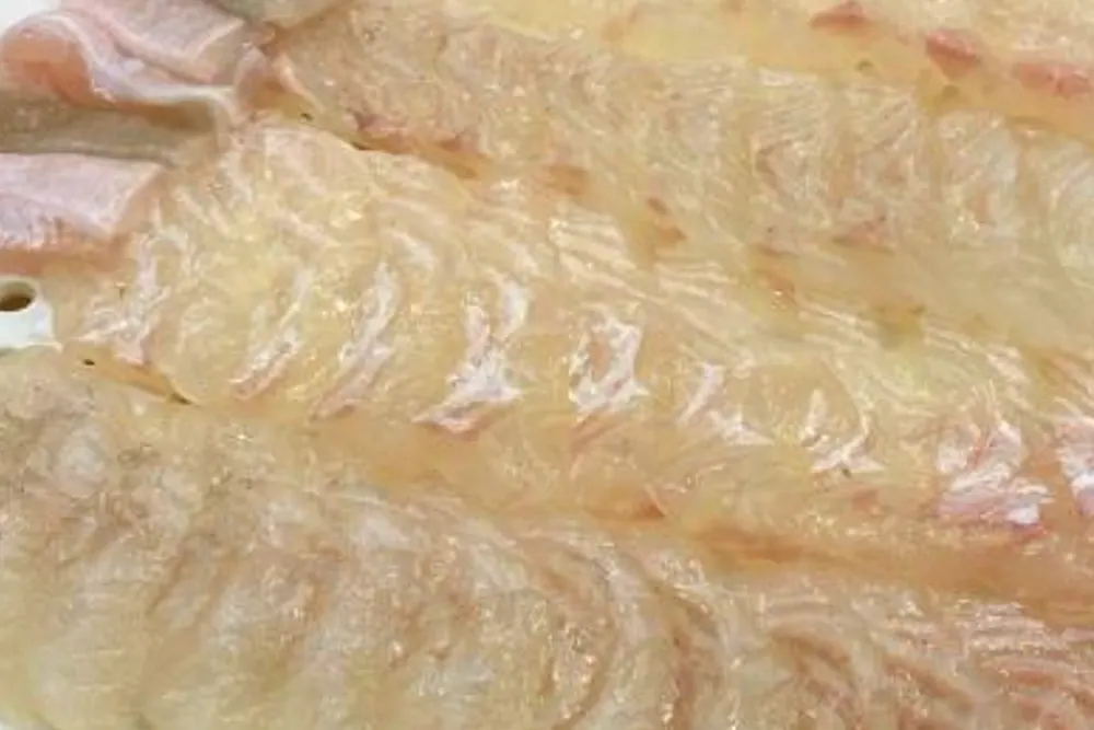 프리한19 익산 회정식 ㅅ식당 횟집 택시기사맛집 5