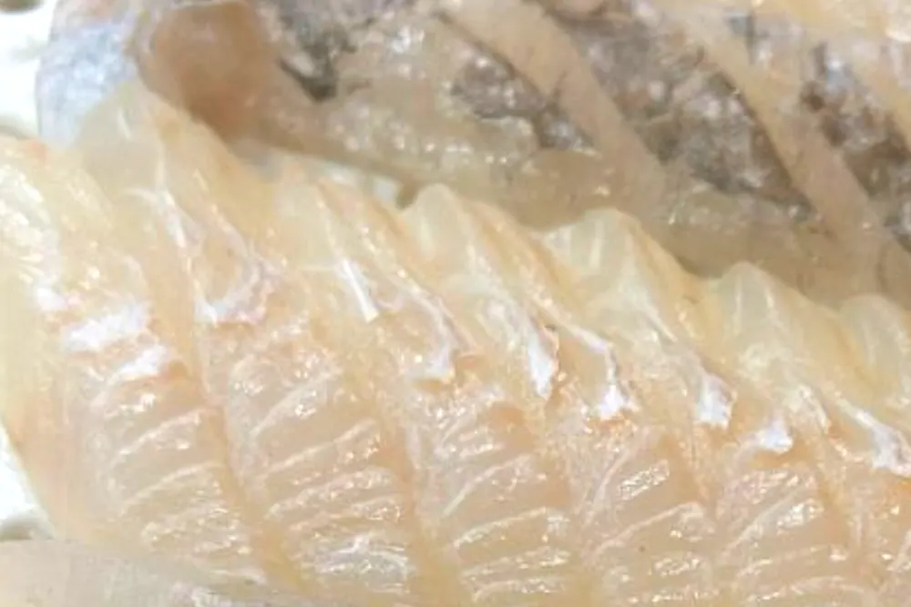 프리한19 익산 회정식 ㅅ식당 횟집 택시기사맛집 6