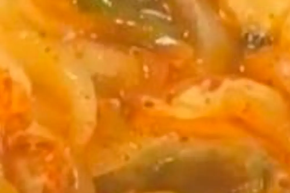 프리한19 속초 장치조림 ㅋ식당 택시기사맛집 3