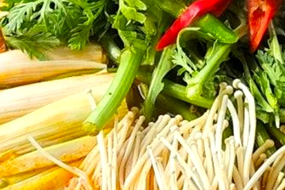 6시 내고향 파주 황복 요리 식당 임진강 수산물 맛집 6