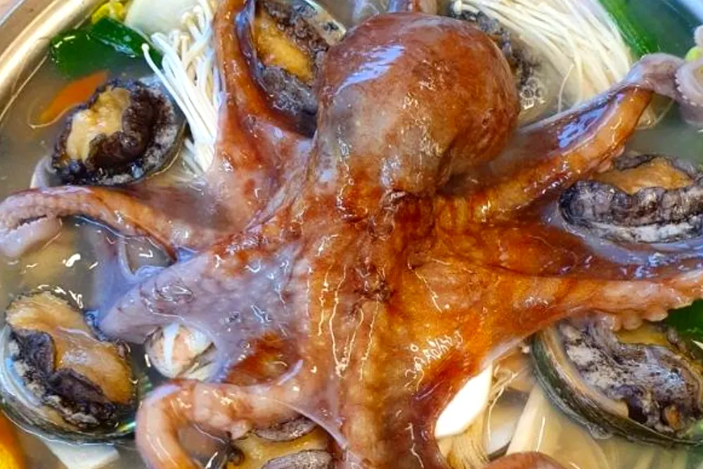 생생정보 대구 팔공산 왕갈비해신탕 맛집 식당 2