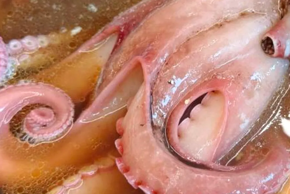 생생정보 대구 팔공산 왕갈비해신탕 맛집 식당 7