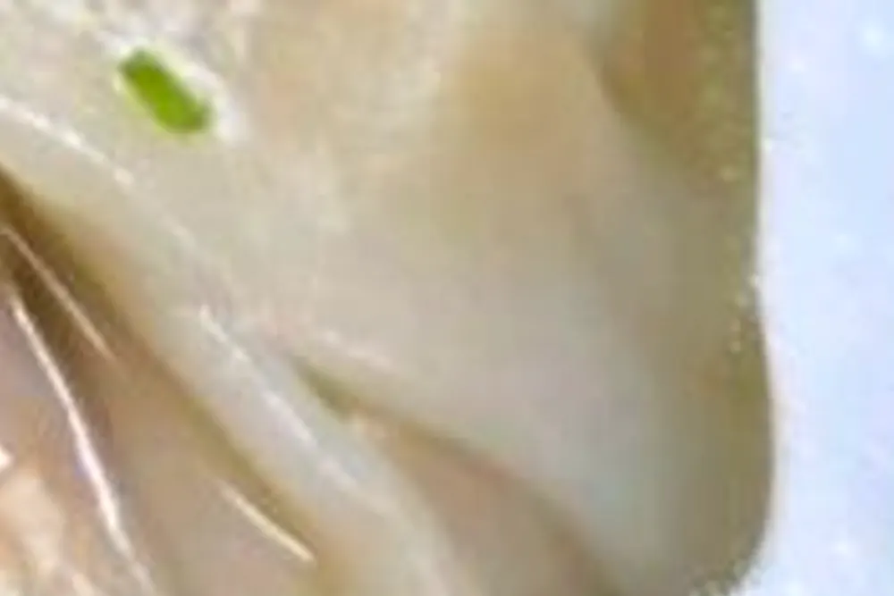 6시 내고향 양평 할매식당 손만둣국 회령식 만두 박경숙 할머니 7