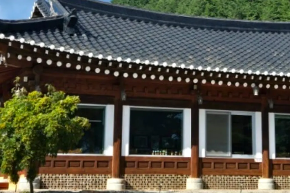 오대산 산채밥상 맛집, 24가지 나물과 황태구이 가격 5