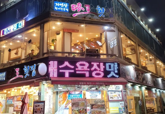 6시 내고향 충남 보령 갑오징어 식당 맛집 4