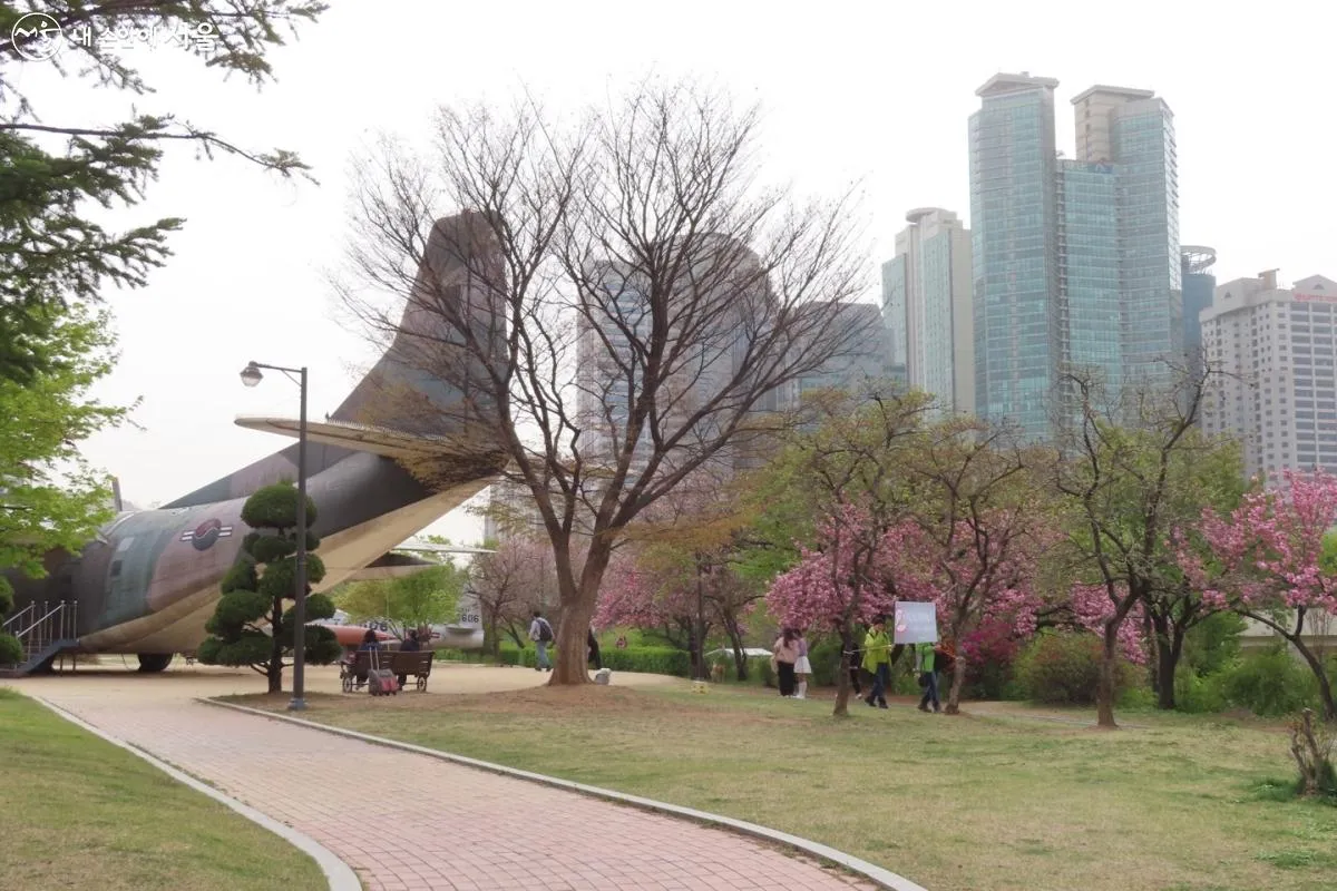 보라매공원 벚꽃