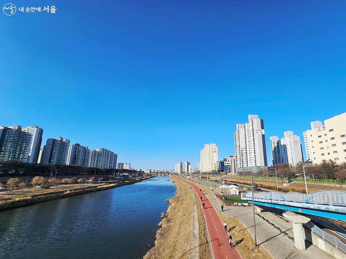 중랑천 벚꽃 산책로