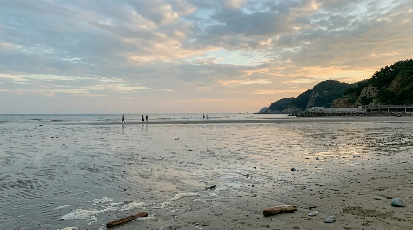 부산 송정·다대포 해변 노을 전 산책