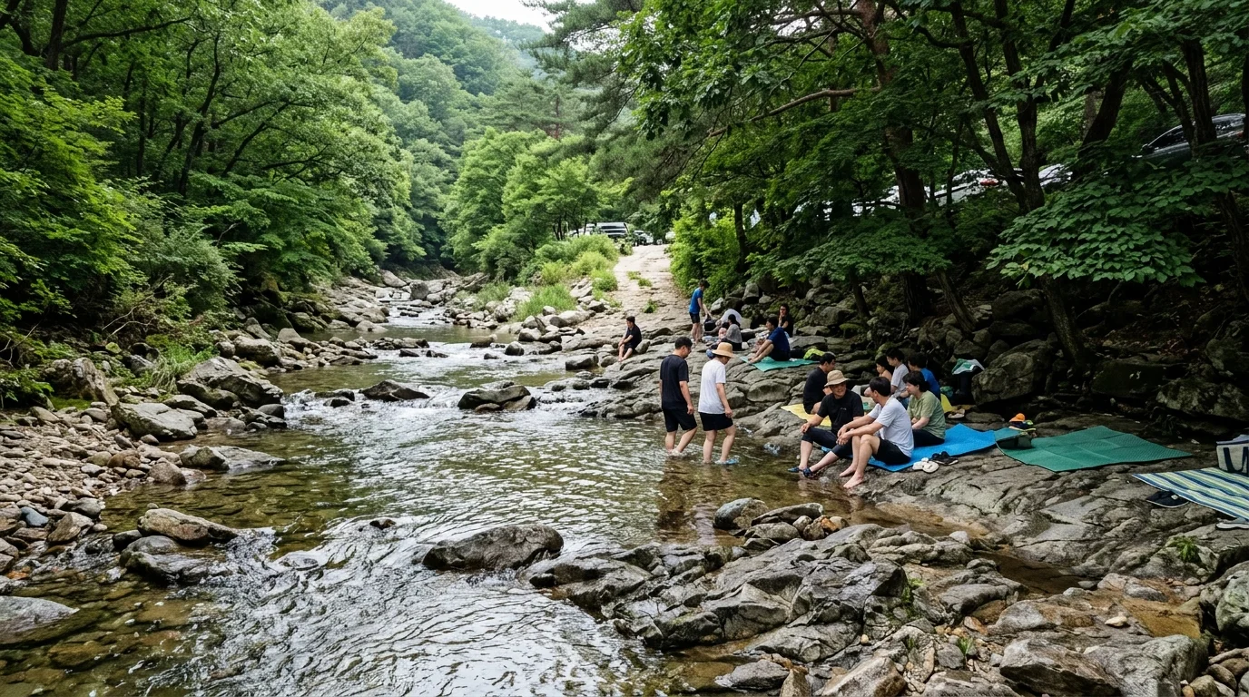 "서울 근교에도 물소리는 깊다"… 가평 용추계곡에서 그늘 따라 쉬는 당일치기 피서