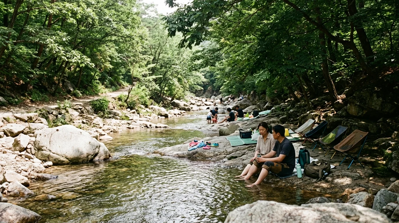 숲 그늘 휴식 여름 풍경