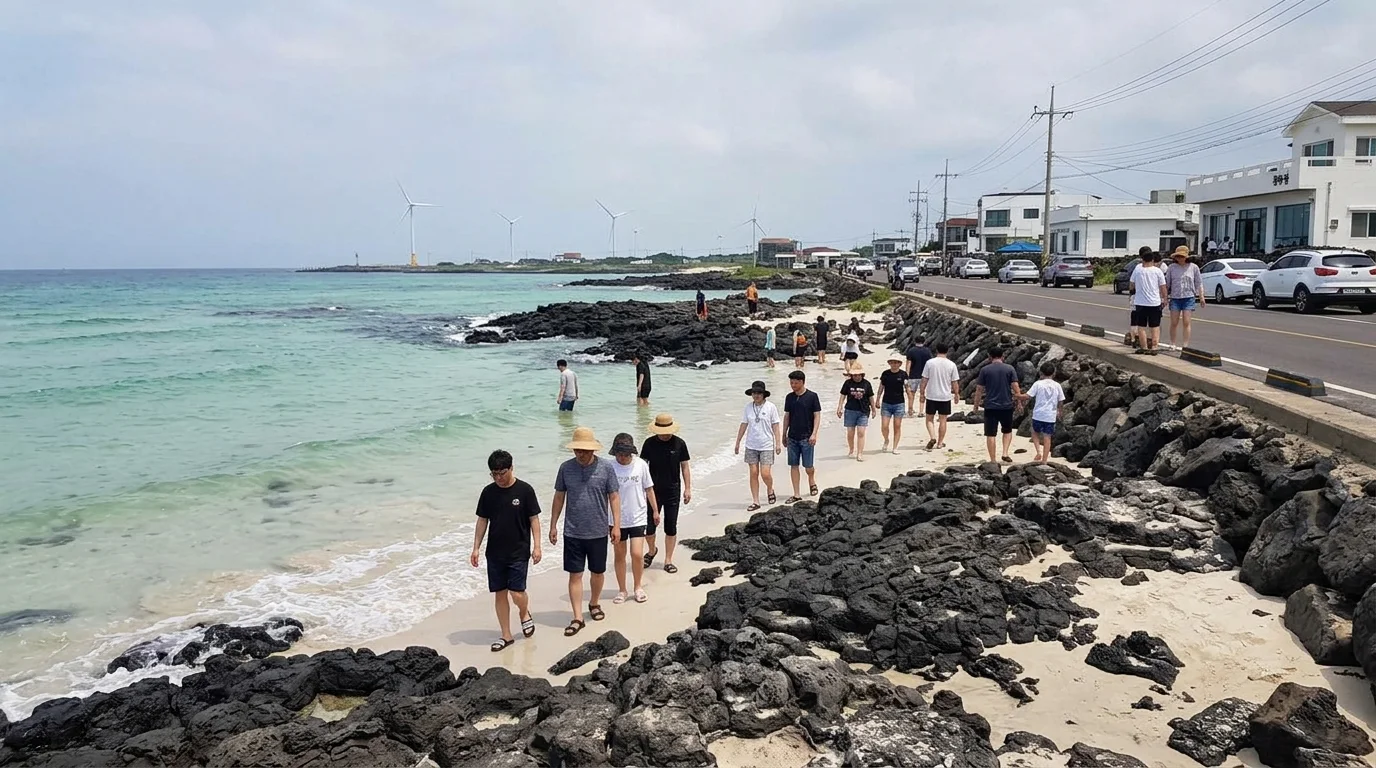 제주 월정리해변 주차·바람·입수, 여름 방문 전 확인 포인트