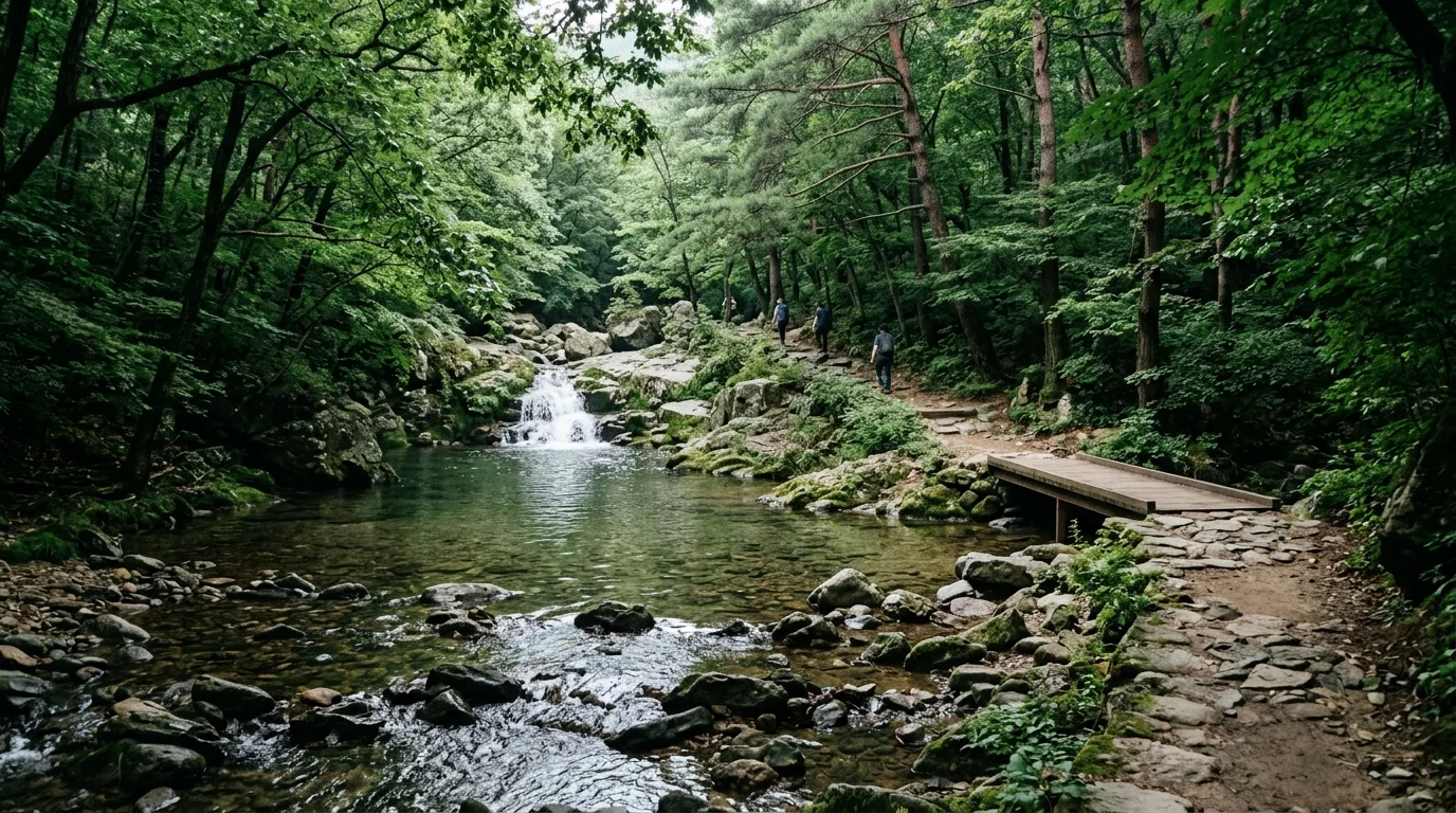무주 구천동계곡 주차·수위·폭포 동선, 여름 방문 전 확인 포인트