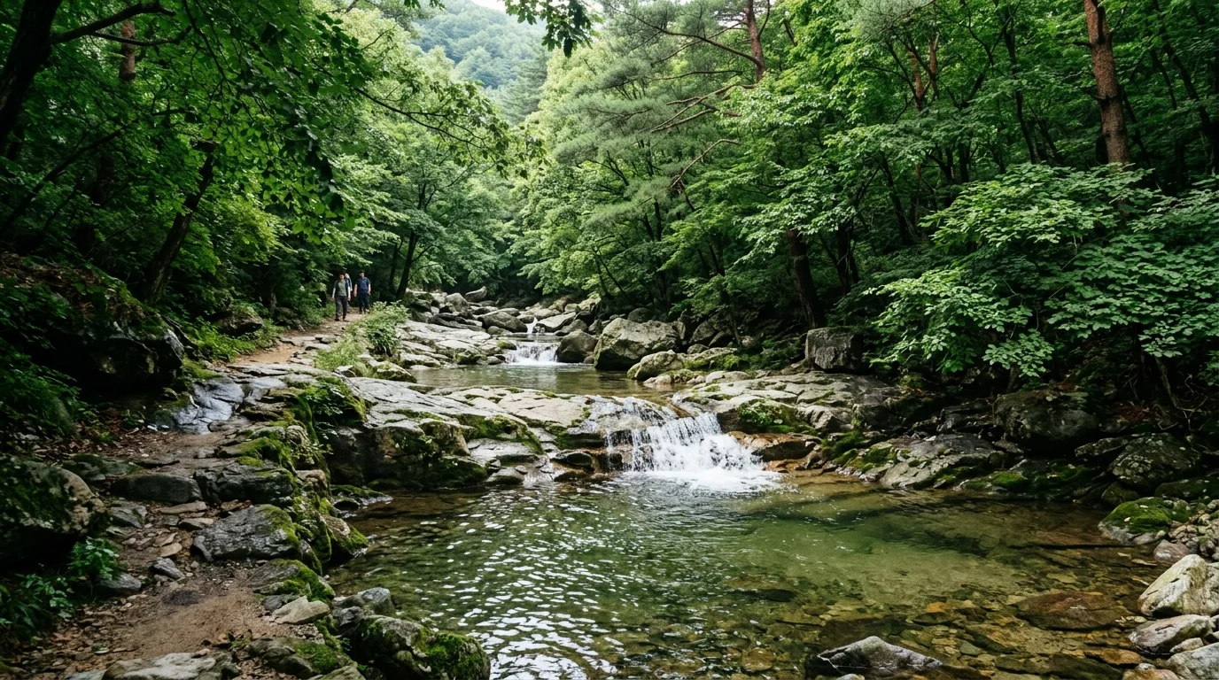 무주 구천동계곡 주차·수위·폭포 동선, 여름 방문 전 확인 포인트 장면 3