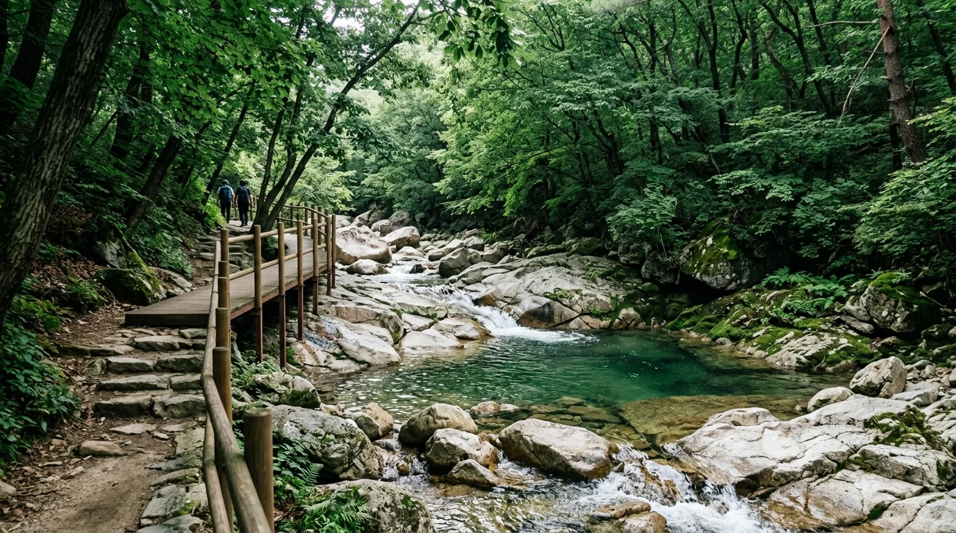 숲그늘 탐방로 여름 풍경