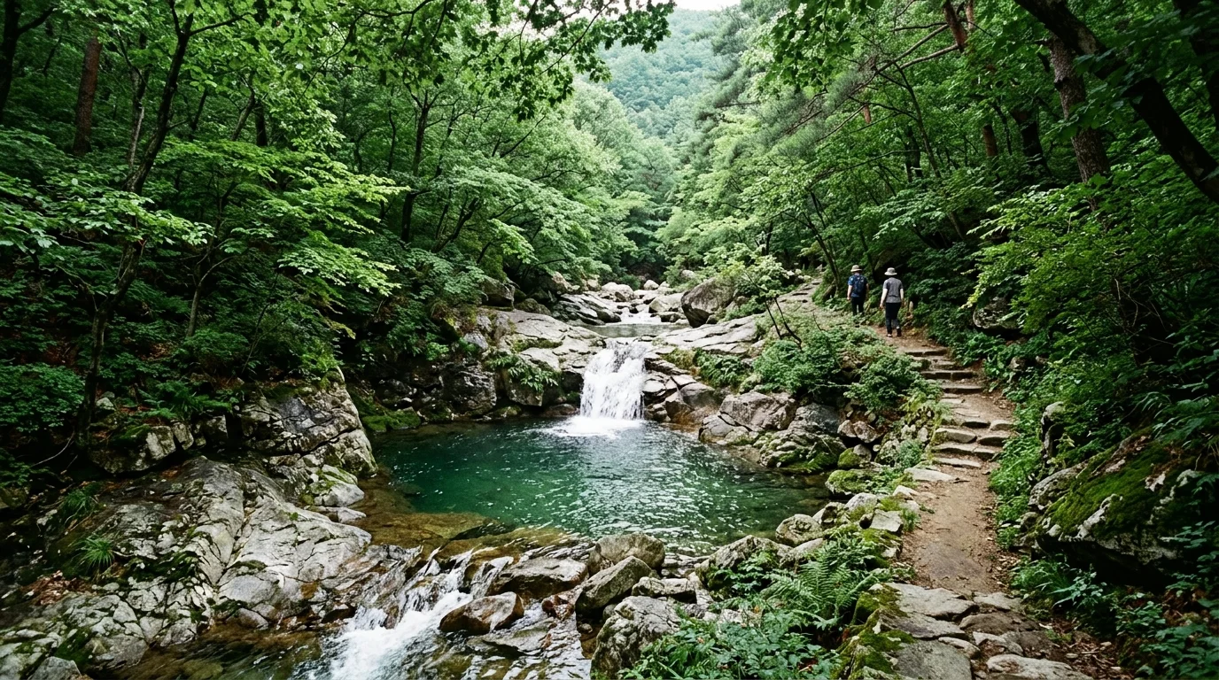 폭포와 담 지점 여름 풍경