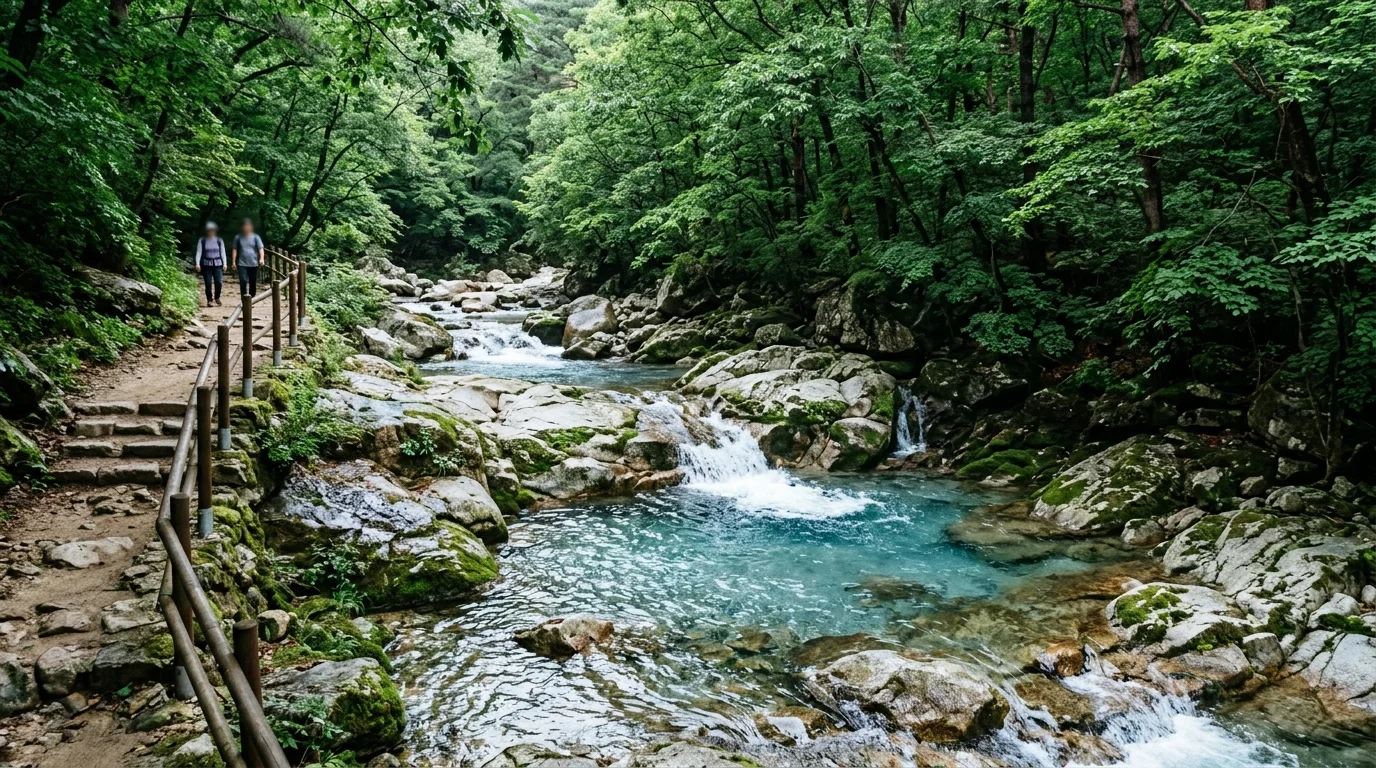 구천동 주변 휴식 여름 풍경