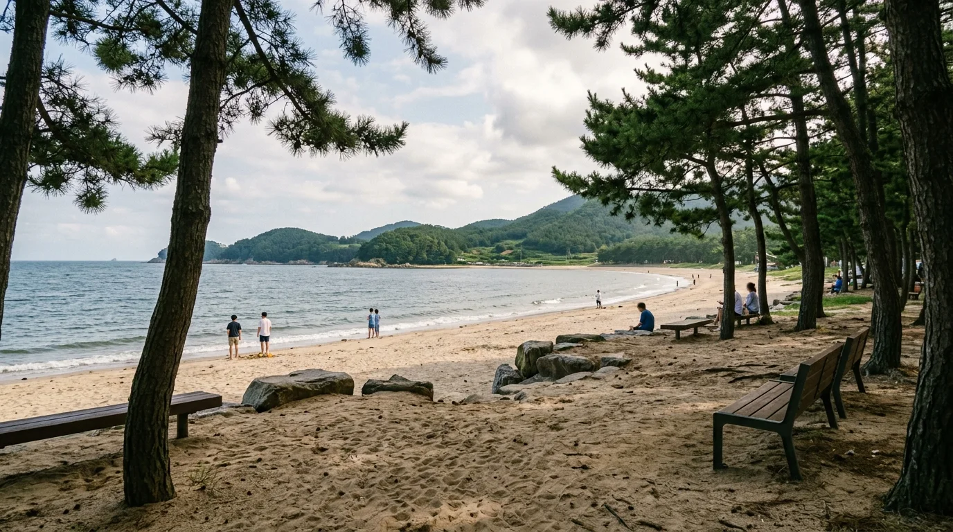 해변 뒤 그늘 휴식 여름 풍경