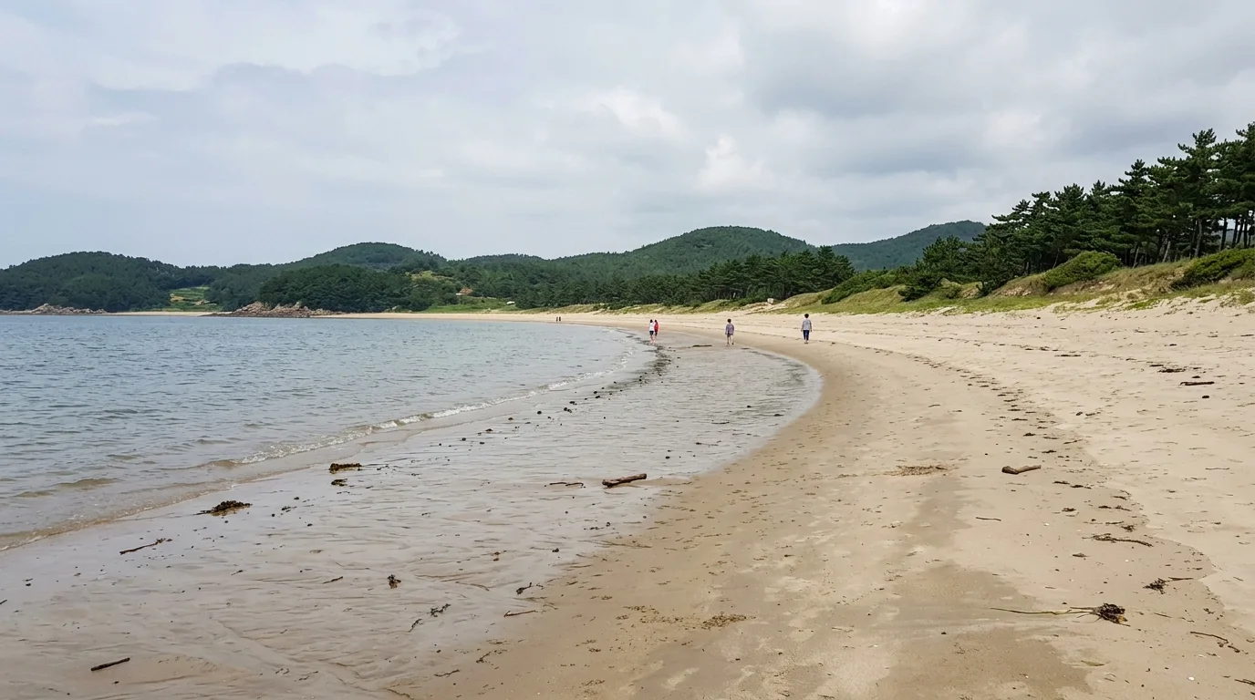 몽산포해변 모래사장 여름 풍경