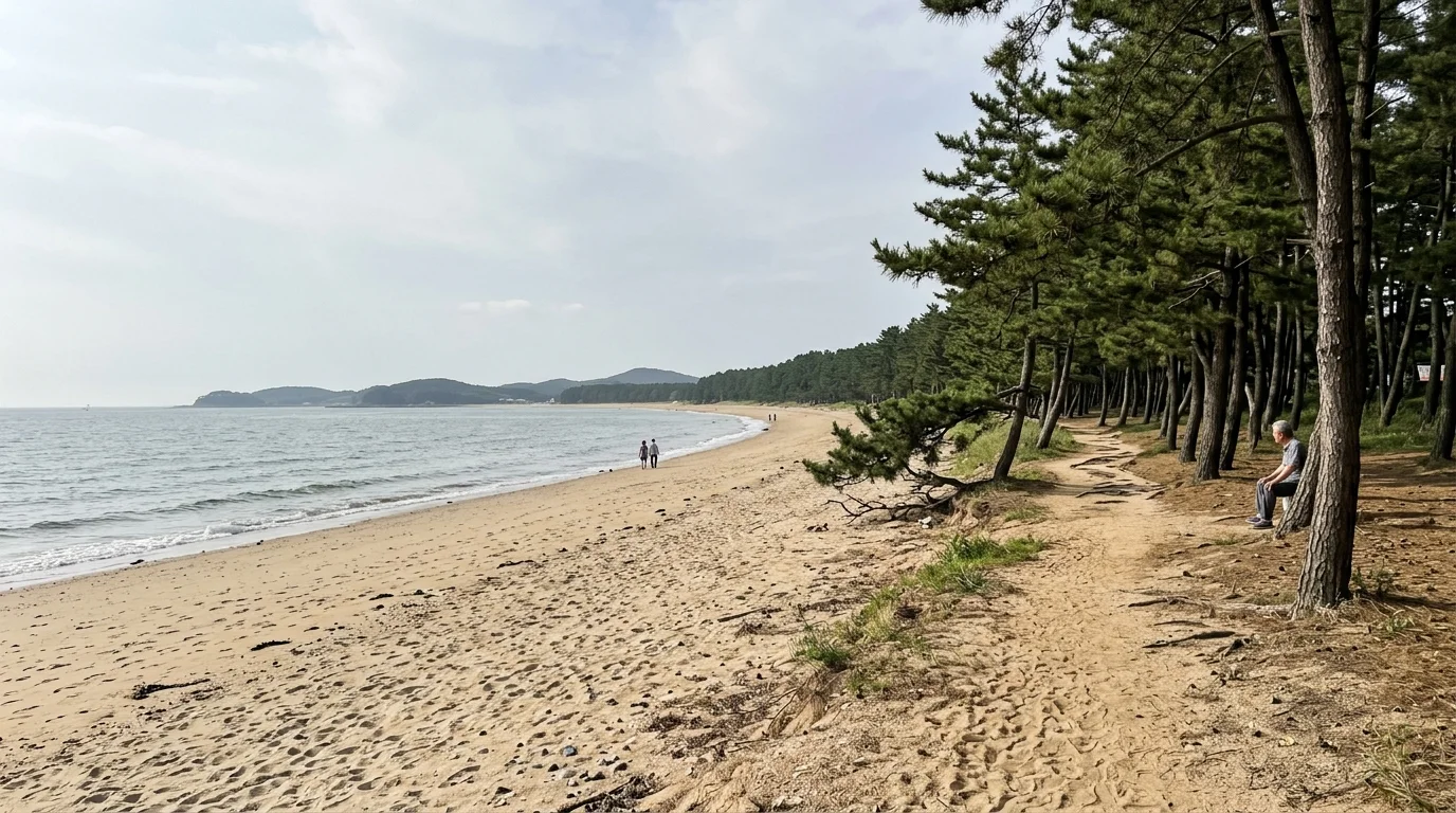 해송 그늘 휴식 여름 풍경