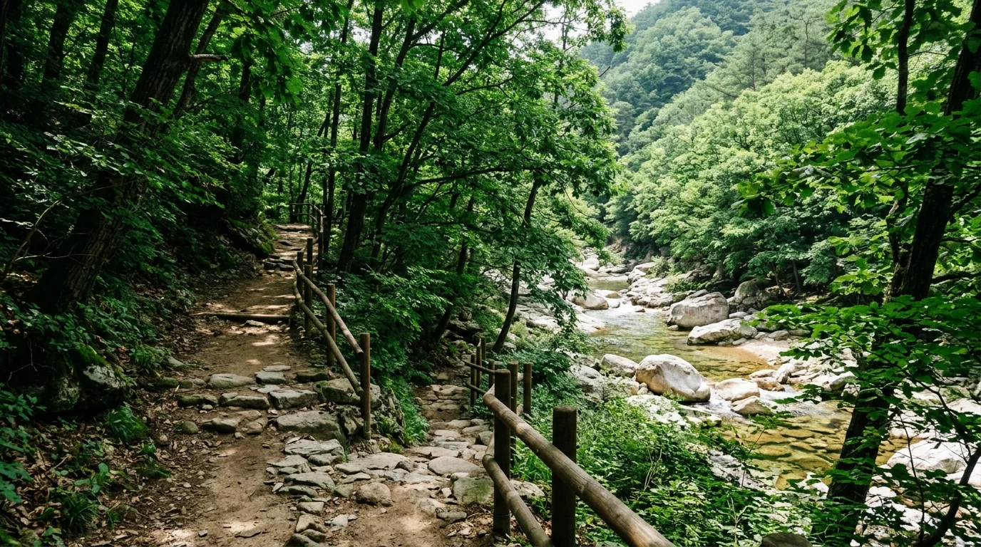 숲길 접근 동선 여름 풍경