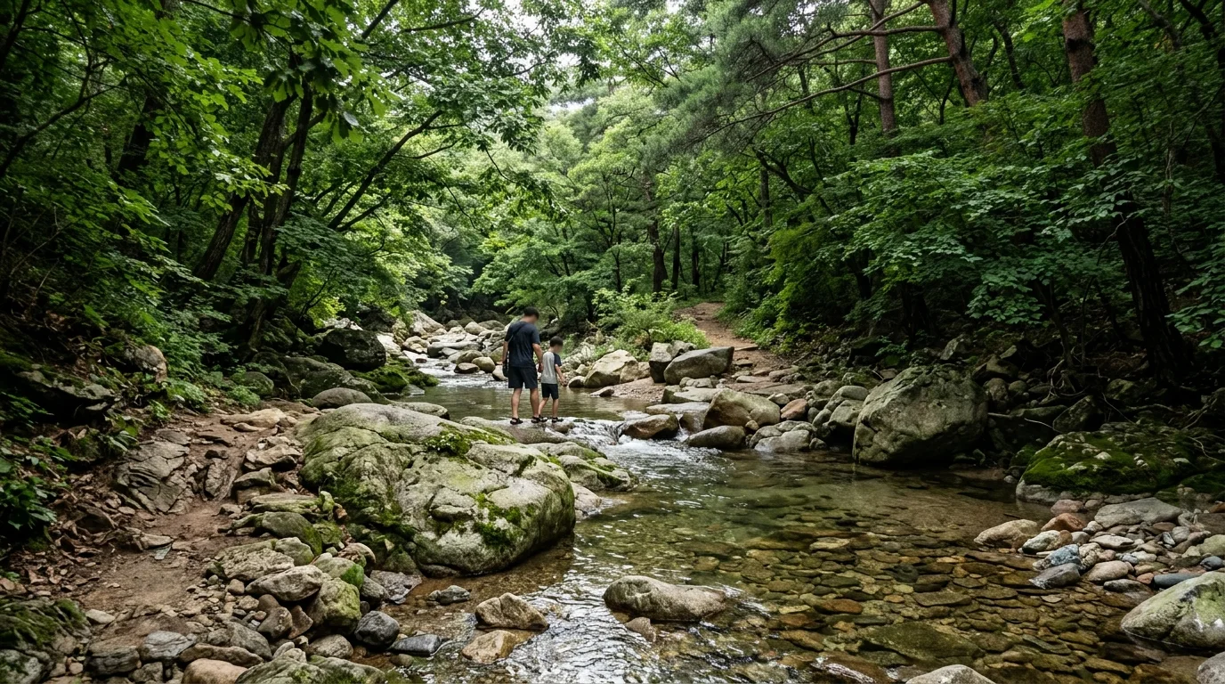 얕은 물가 휴식 여름 풍경