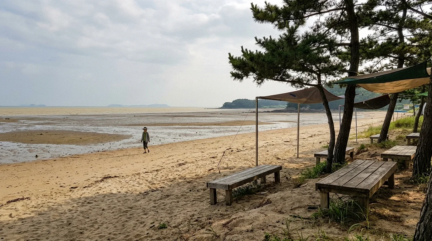 인천 무의도 하나개해수욕장 그늘과 쉬는 자리가 해변 체류를 좌우한다