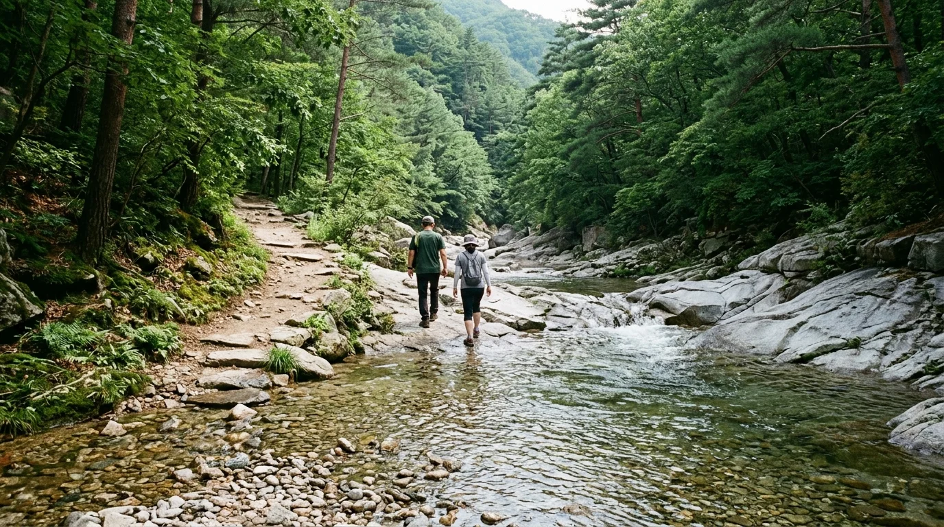 "산그늘이 물길을 따라 깊어진다"… 인제 백담계곡에서 설악 자락에서 쉬는 계곡길