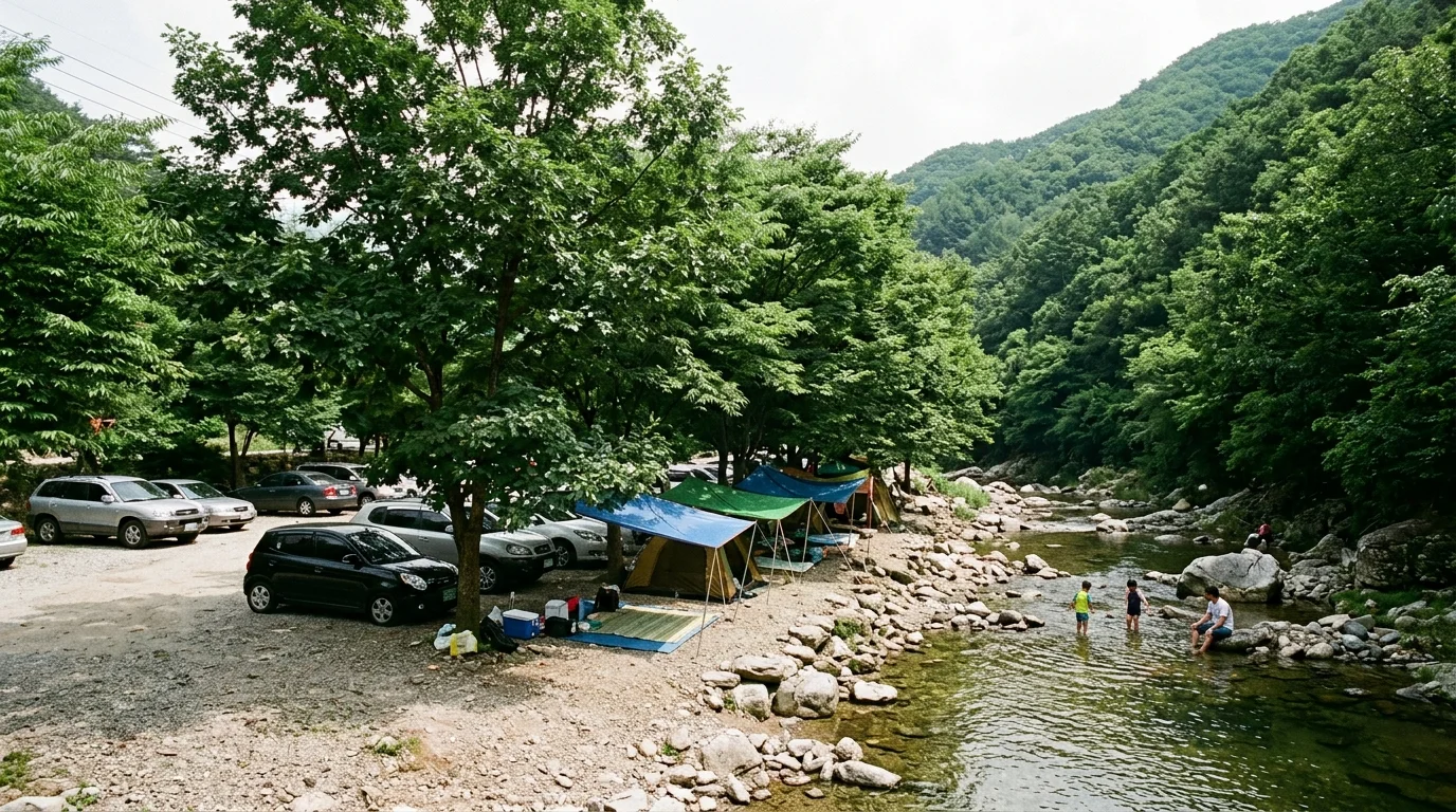 포천 백운계곡 숲그늘은 물가보다 먼저 자리를 잡는다