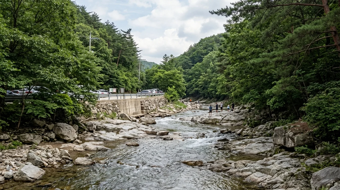 평창 흥정계곡 주차·취사 제한·수위, 여름 방문 전 확인 포인트
