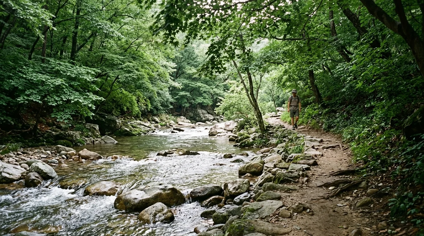 순창 강천산계곡 물소리가 가까워지는 구간에서 속도를 낮춘다