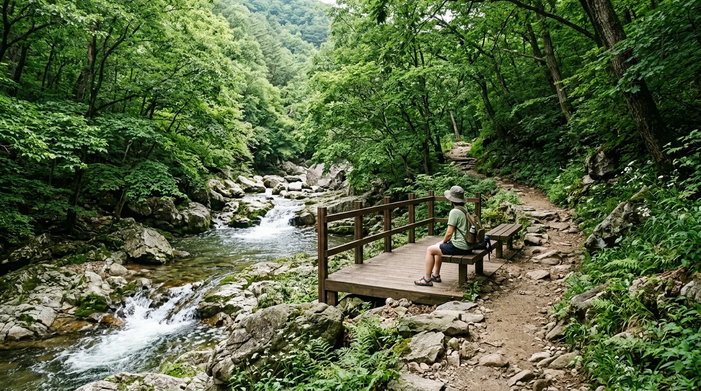 순창 강천산계곡 쉬는 자리가 있어야 숲길이 길어진다