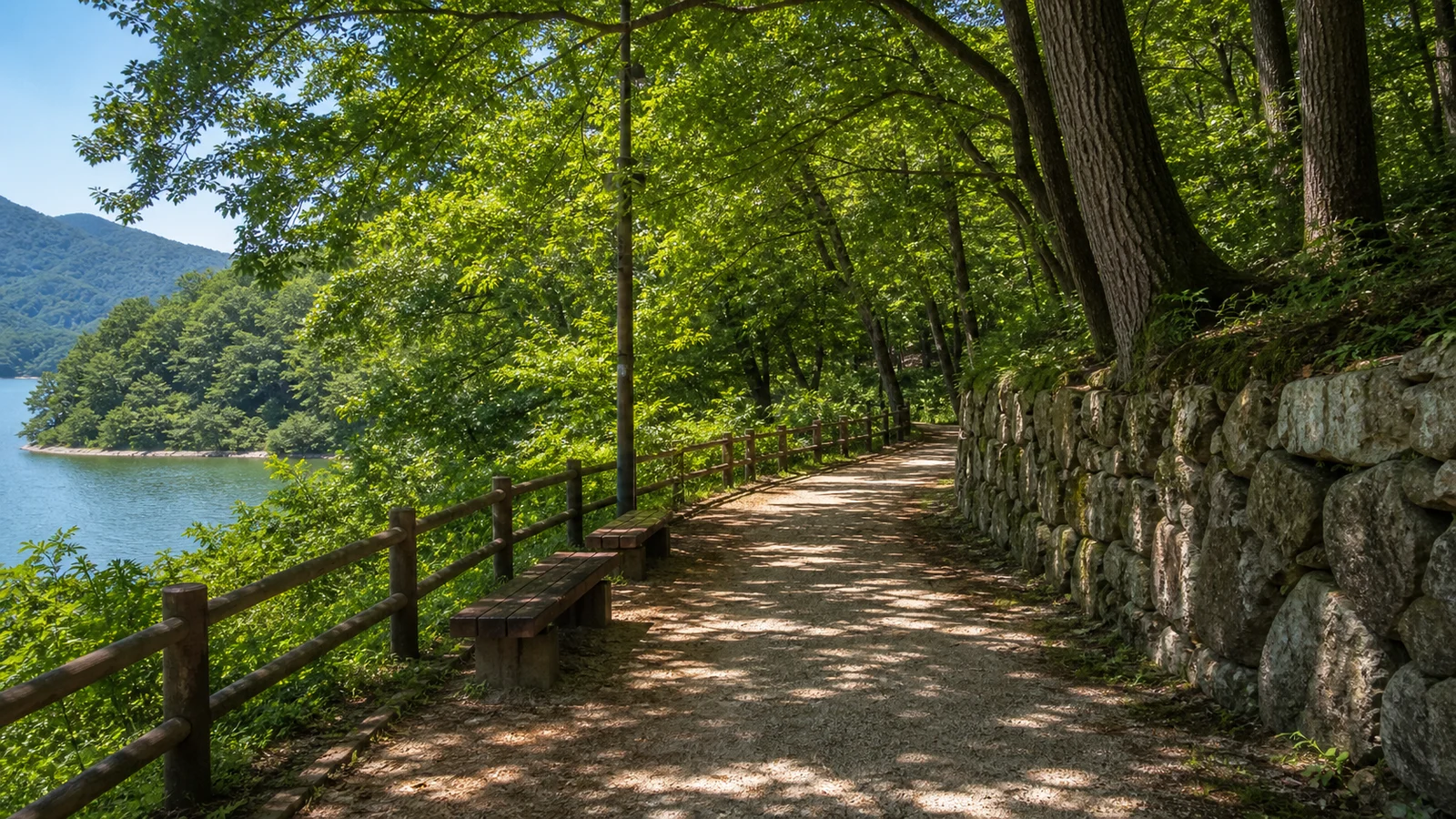 제천 의림지 주변 숲그늘 산책길