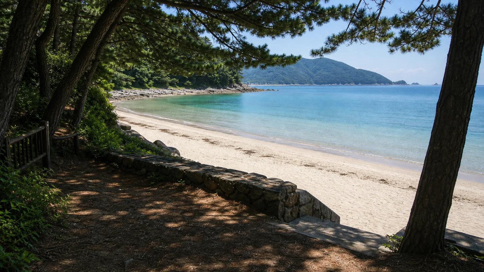 상주은모래비치 소나무 그늘과 물가