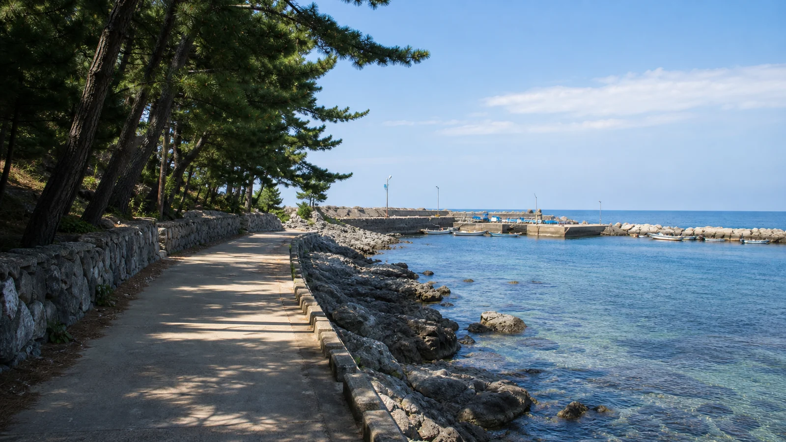 삼척 장호항 주변 주차 접근 도로